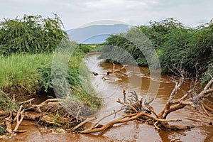 Scenic view of Ewaso Nyiro River in Shompole Conservancy, Kenya