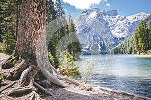 Scenic view of famous braies lake in italy