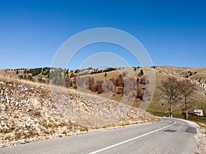 Scenic view of fields of mountain Vlasic covered with grass and trees in autumn during sunny day