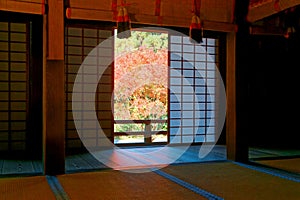 Scenic view of fiery maple trees in the courtyard garden behind the sliding screen doors ( shoji )