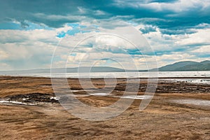 Scenic view of flamingos and pelicans at Lake Nakuru in Kenya