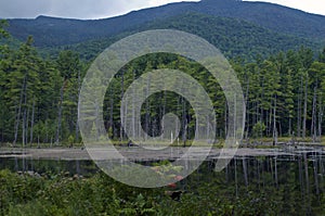 Scenic view of flume trail wilmington new york