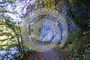 footpath by lake Alatsee near lake Ober See on a fine autmn day in Bad Faulenbach (Fuessen, Bavaria in Germany) photo