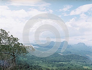 Scenic View of forest against sky and ocean
