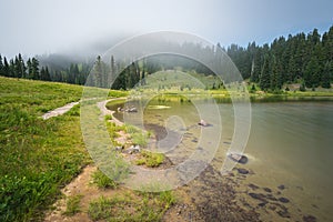 Scenic view of the forest,meadow and lake with fog on the day in Tipzoo lake,mt Rainier,Washington,USA..
