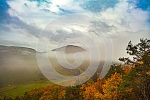 a scenic view of a forest with mountains in the background and trees in the foreground with yellow and green leaves