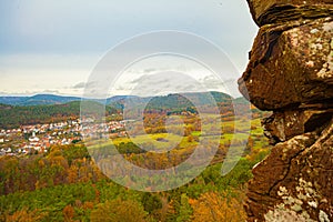 a scenic view of a forest with mountains in the background and trees in the foreground with yellow and green leaves