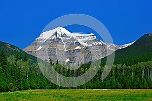 Scenic view of forest snowcapped mountains against sky at sunset