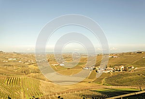 Scenic view of the freshly harvested grape fields in autumn in Barolo valley