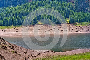 Scenic view of the Goldisthal pumped storage plant in the Thuringian Forest