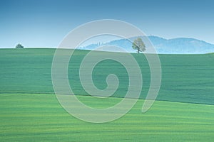 Scenic view of a green field with a lone tree on a hill