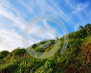 Scenic view of green hill against blue sky
