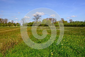 Scenic view of a green landscape in Wortel, Hoogstraten, Belgium photo