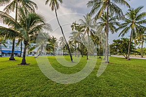 Scenic view of green lawn and palm trees in park situated in front of hotels along Ocean Drive in Miami Beach.