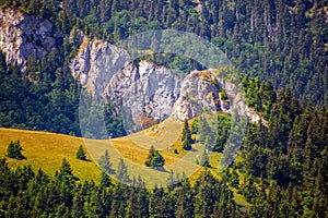 Malebný výhľad na zelenú lúku so sviežimi lesmi. Veľká Fatra, Slovensko.