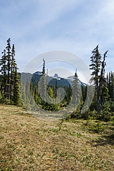 Scenic view of green medow with distant Black Tusk mountain summer morning in garibaldi provincial park canada