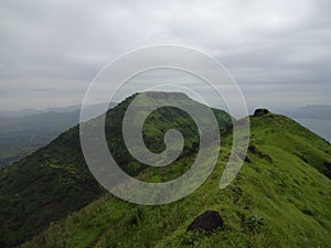 Scenic view of greenery landscape and hills