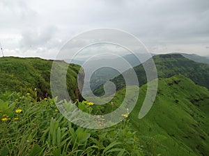 Scenic view of greenery landscape and hills