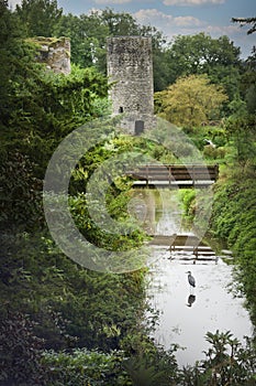 A scenic view from the grounds at Blarney Castle in Ireland.