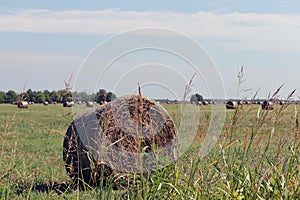 Scenic view of a haybale placed in a massive hay field in the countryside