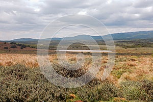 Scenic view of the high altitude moorland against a Mountain background in Aberdare National Park, Kenya