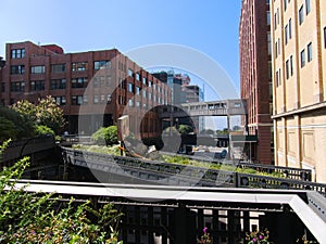 Scenic view of the Highline park in neighbourhood Chelsea, New York City, Manhatten, USA, North America