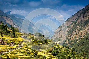 Scenic view of the Himalaya mountains