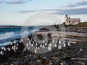 Scenic view of historic Point Wilson Lighthouse in Fort Worden - Port Townsend, WA