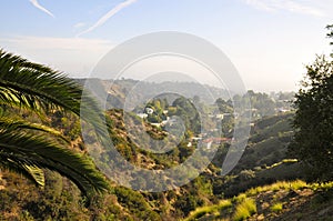 Scenic View from Hollywood Hills