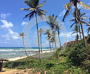 Scenic view of idilic beach