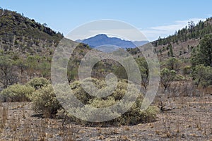 Scenic View in Ikara-Flinders Ranges, South Australia