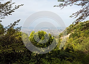 Scenic view of Imabari city and Seto Inland Sea - Ehime photo