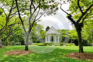 Scenic View inside Singapore Botanic Gardens