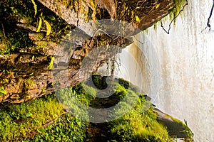 Scenic view from inside the waterfall from Carrao river