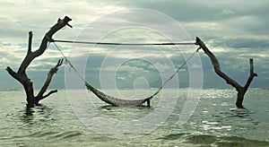 Scenic view of an inviting and tempting sea hammock amazing set up on tree trunks at tropical island beach in relaxing holidays