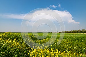 Isolated Thunderstorm over the Countryside