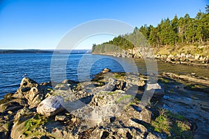 Scenic view of Jack Point and Biggs Park in Nanaimo, British Col