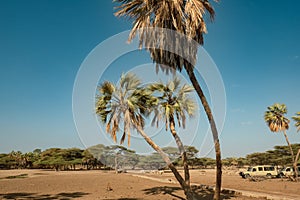 Scenic view of Kalacha Oasis in North Horr, Marsabit, Kenya