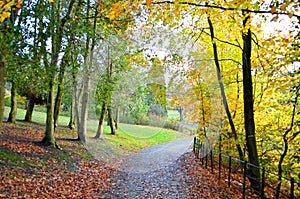 Scenic view of Kelvingrove Park - Glasgow, Scotland