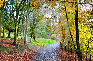 Scenic view of Kelvingrove Park - Glasgow, Scotland