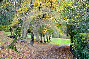 Scenic view of Kelvingrove Park - Glasgow, Scotland