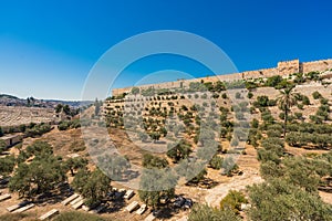 Scenic view of Kidron Valley in Jerusalem