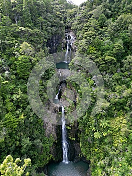 Scenic view of Kitekite Falls surrounded by lush greenery. New Zealand