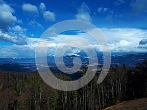 Scenic view of Kranjsko Polje in Gorenjska region of Slovenia