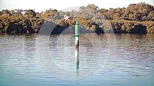 Scenic view of a lake with a buoy and dense shoreline trees