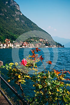 Scenic view of Lake Como and the Bellagio peninsula from the garden in Varenna, Italy.