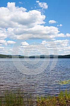 Scenic view of a lake and the forest