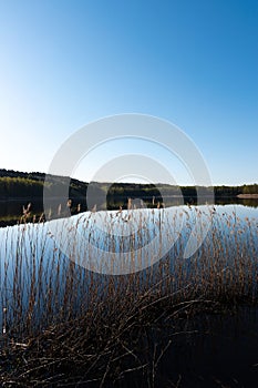 Scenic view of lake MerrasjÃ¤rvi in Lahti, Finland with reed in the foreground