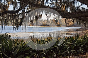 Scenic View of Lake Overstreet in Tallahassee, Florida photo