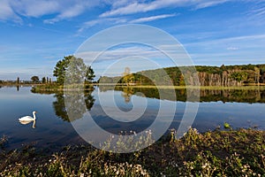 Scenic view of a lake with reflection of a tree in water